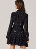 Lucien Collared V-Neck Mini Dress