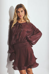 Ruched Waist Ruffle Mini Dress