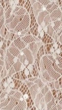 Zebia Sheer Sequin Lace Top - White